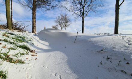 foto van 10 februari