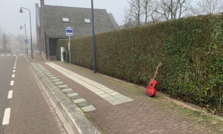 Gitaar kwijt?