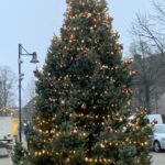 Kerstboom Roggel
