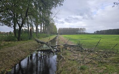 Storm in Roggel