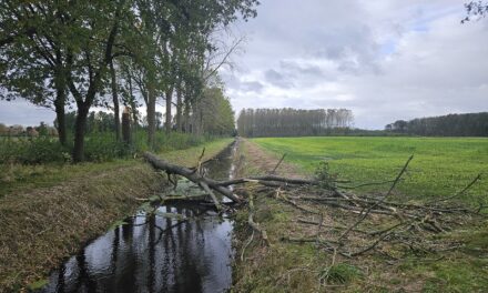 Storm in Roggel