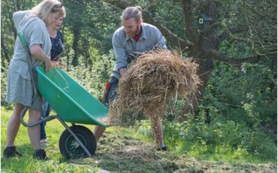 Workshop “Ontwerp tuin op basis van permacultuur”