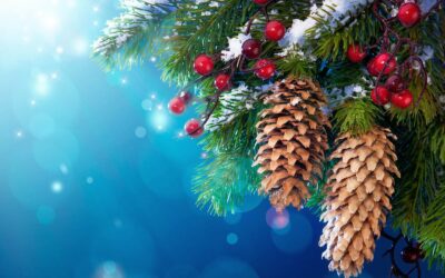 Kerstviering LKV