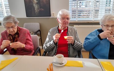 Zonnebloem nieuwjaarstreffen