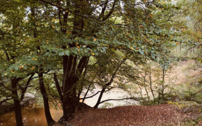 3-Stromenwandeling