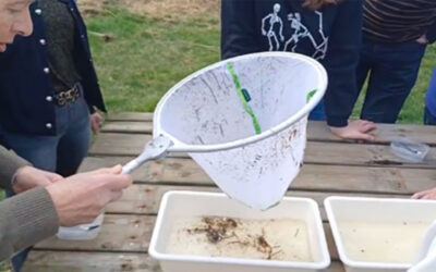 Workshop ‘Hoe het kleinste in de natuur groots kan zijn….’