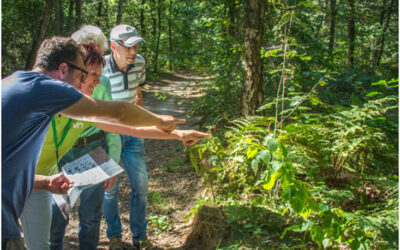 Natuurwandeling voor mensen met een verstandelijke beperking