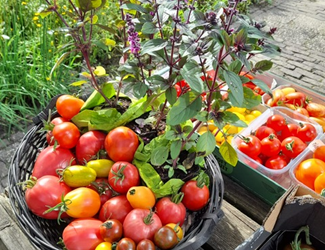 Open tuindag bij Velt Leudal