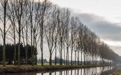 Lezing over de Noordervaart