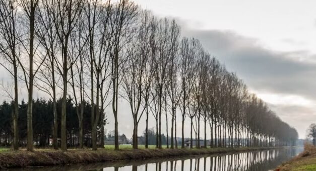 Lezing over de Noordervaart