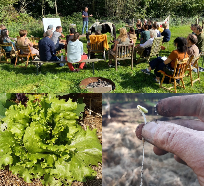 Lezing: Natural Farming, een diep herinneren aan wat natuurlijk is