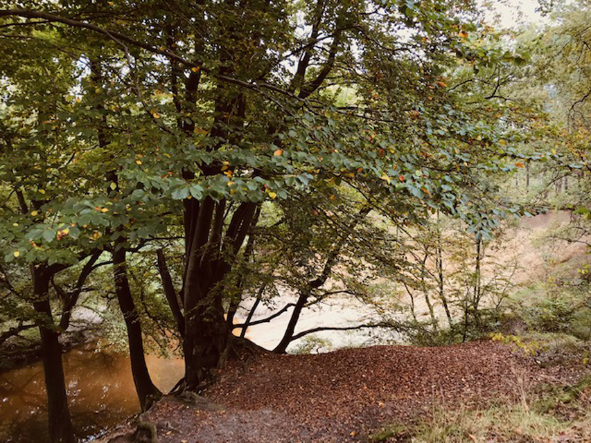 3-stromenwandeling