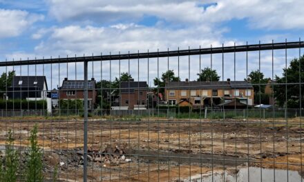 Nieuw panorama