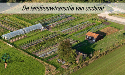 Tuinderij de Groentegaard
