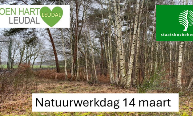 Natuurwerkdag voorjaar 2026: Doen jullie weer mee op zaterdagmorgen 14 maart?