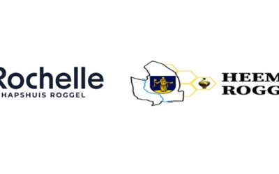 Filmmorgen in La Rochelle