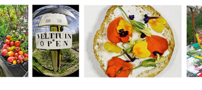 Open dag VELT Leudal