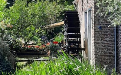 Ontdek de natuur
