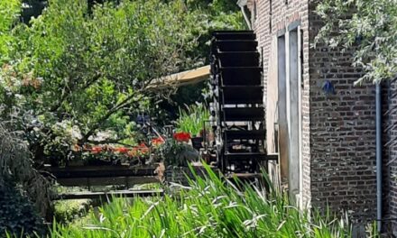 Ontdek de natuur