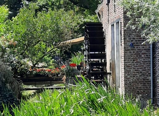 Ontdek de natuur