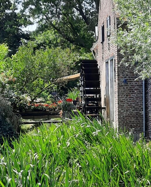 Ontdek de natuur