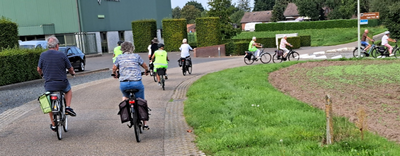 Fietstocht langs monumentale bomen