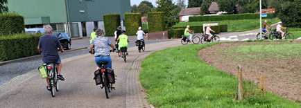 Fietstocht langs monumentale bomen
