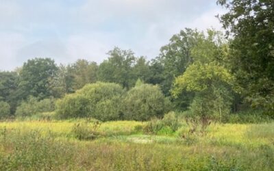 Uitnodiging excursie Heijkersbroek