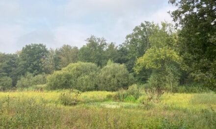 Uitnodiging excursie Heijkersbroek
