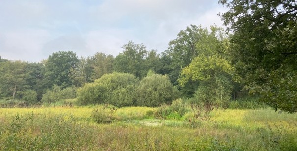 Uitnodiging excursie Heijkersbroek