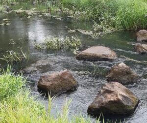 Stiltewandeling