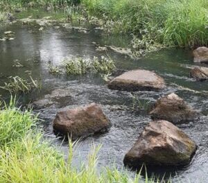 Stiltewandeling