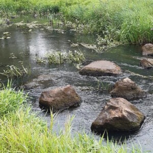 Stiltewandeling