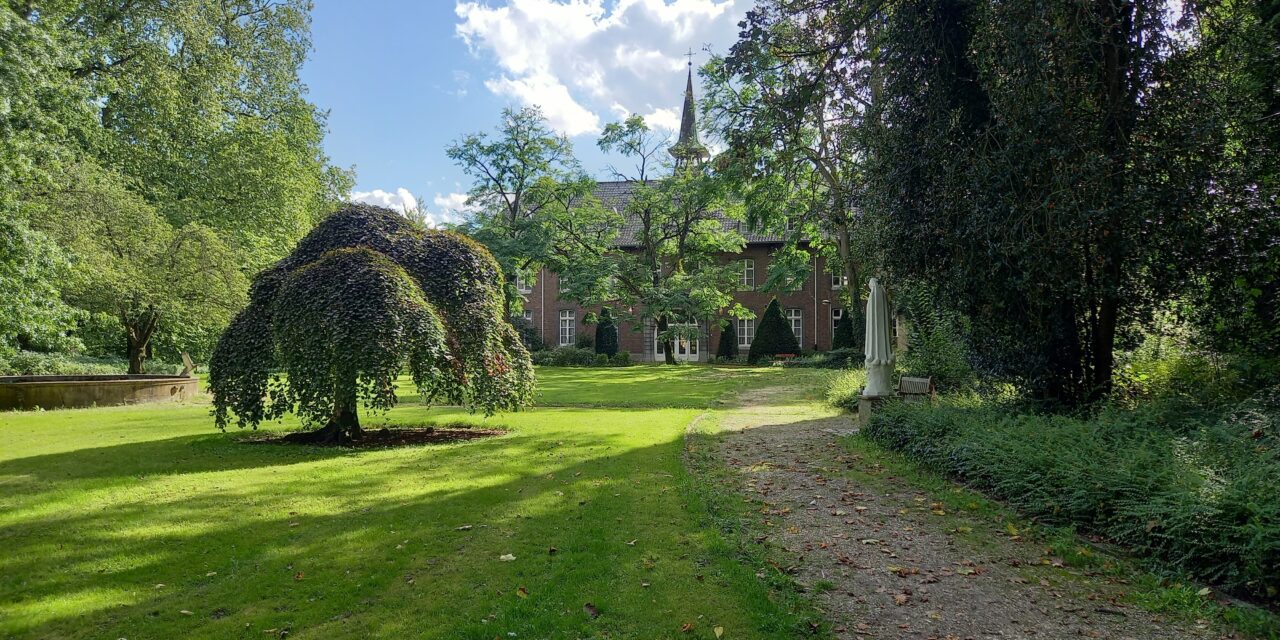 Bomenwandeling