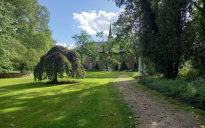 Bomenwandeling